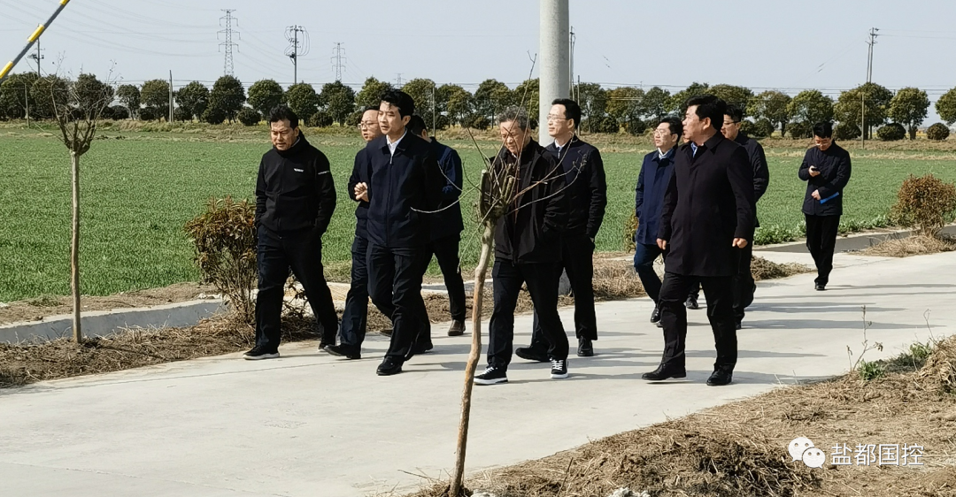 20230316调研楼王镇.png